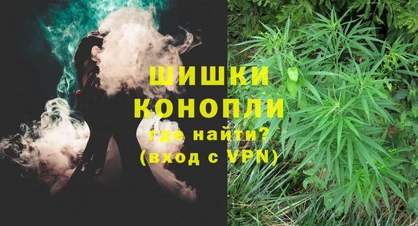 СК Медвежьегорск