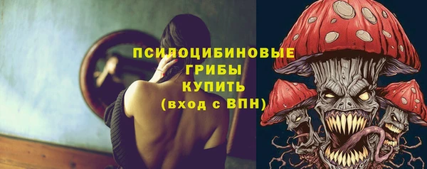 ECSTASY Михайловск